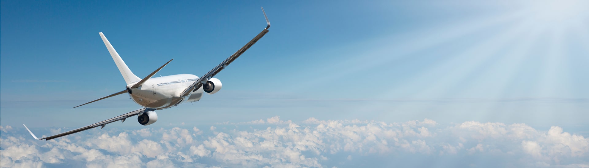 Scopri le migliori offerte